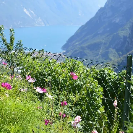 Holiday home Casa Furletti Tenno